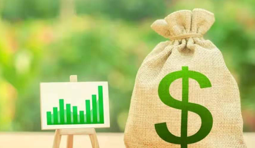 据2020数据统计，疫情一年，这里投资额涨103%！